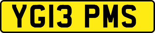 YG13PMS