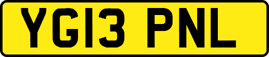 YG13PNL