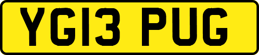 YG13PUG