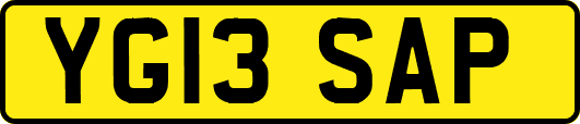 YG13SAP