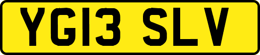 YG13SLV