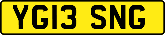 YG13SNG