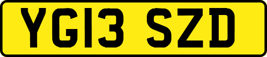YG13SZD