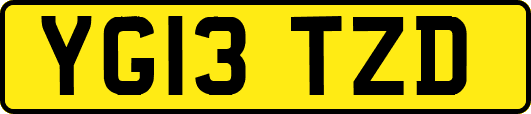 YG13TZD