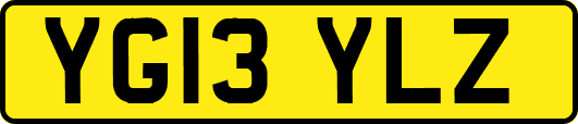 YG13YLZ