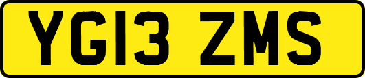 YG13ZMS