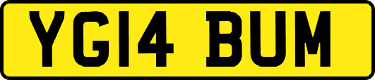 YG14BUM