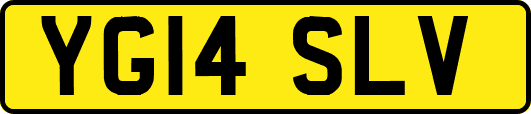 YG14SLV
