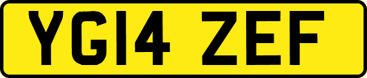 YG14ZEF