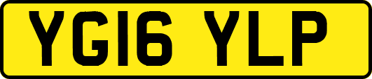 YG16YLP