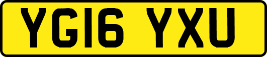 YG16YXU