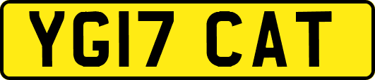 YG17CAT