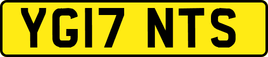 YG17NTS