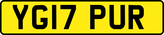 YG17PUR