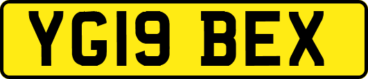 YG19BEX