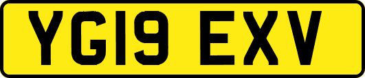 YG19EXV