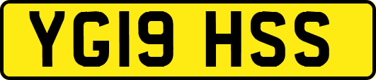 YG19HSS