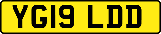 YG19LDD