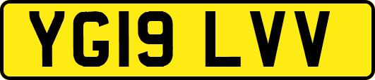 YG19LVV