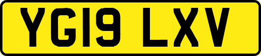 YG19LXV