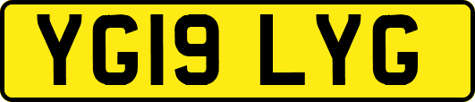 YG19LYG