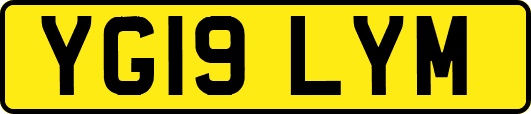 YG19LYM