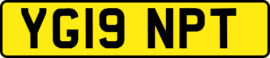 YG19NPT