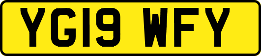 YG19WFY