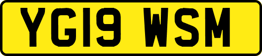 YG19WSM