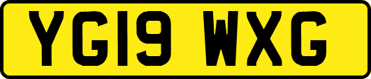 YG19WXG