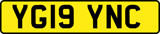 YG19YNC