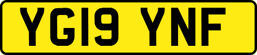 YG19YNF