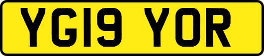 YG19YOR