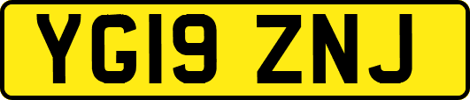 YG19ZNJ