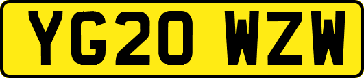 YG20WZW