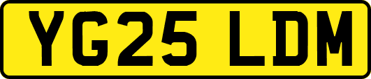 YG25LDM
