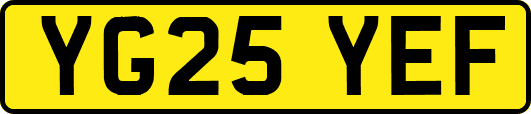 YG25YEF