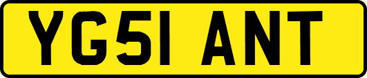 YG51ANT