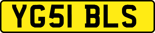 YG51BLS