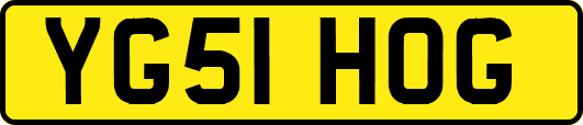 YG51HOG