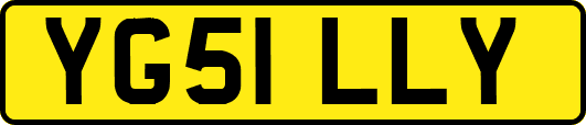 YG51LLY