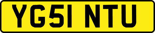 YG51NTU