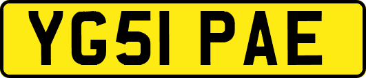 YG51PAE