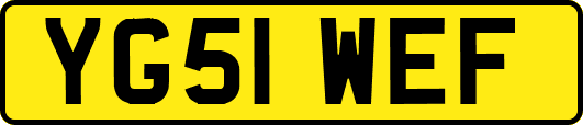 YG51WEF