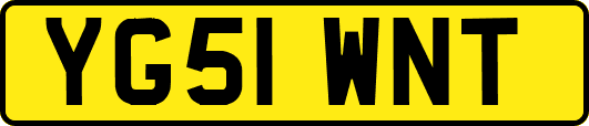 YG51WNT