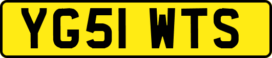 YG51WTS