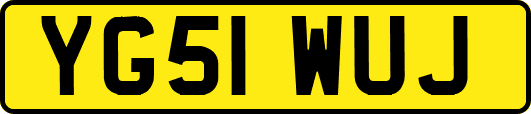 YG51WUJ