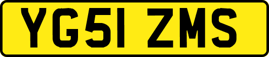 YG51ZMS