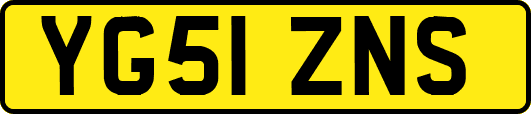YG51ZNS