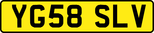 YG58SLV